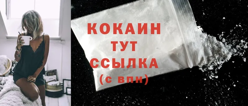 Cocaine Fish Scale  где купить наркоту  сайты даркнета официальный сайт  Ветлуга 